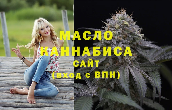 тгк Абаза