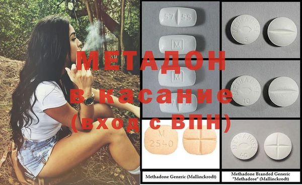 стаф Алексин