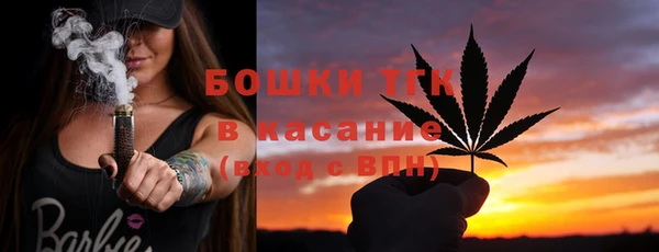 стаф Алексин