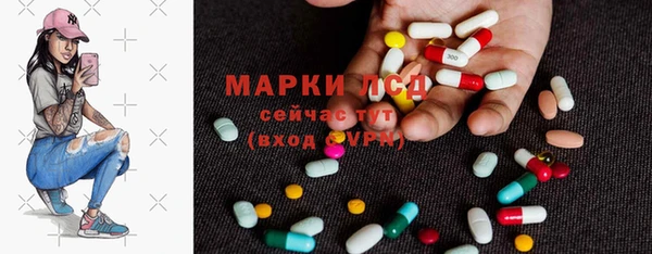 стаф Алексин