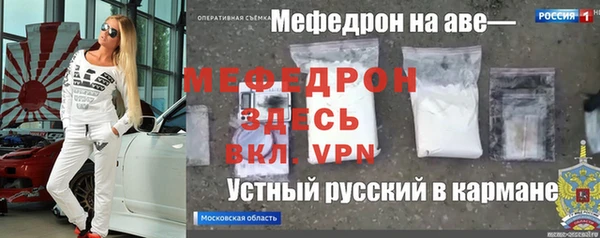 стаф Алексин